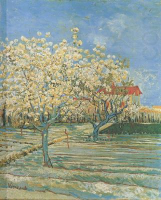 Vincent Van Gogh Orchard in Blossom (nn04) china oil painting image
